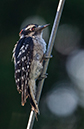 %_tempFileName20150622_4933w%