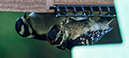%_tempFileName20150622_4943w%