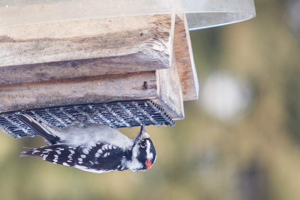 %_tempFileName20150320_1300w%