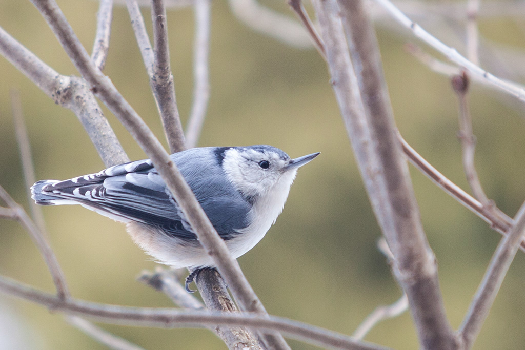 %_tempFileName20150320_1319w%