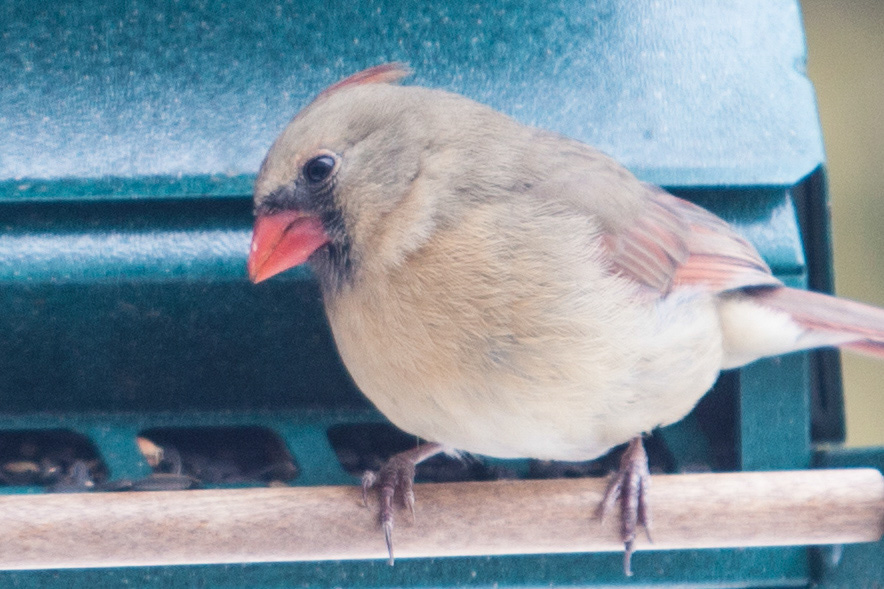 %_tempFileName20150320_1363w%