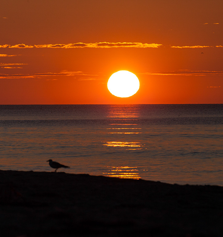 %_tempFileName20150725_5346w%