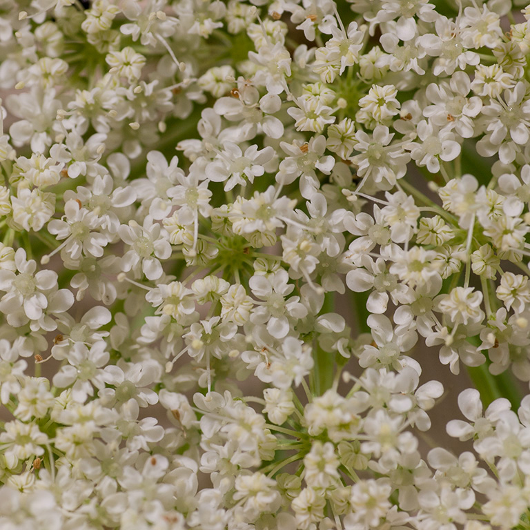 %_tempFileName20150731_6784w%