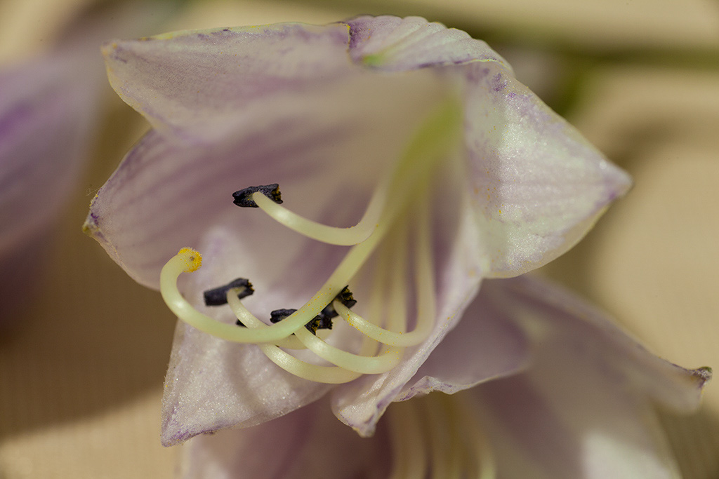 %_tempFileName20150731_6786w%