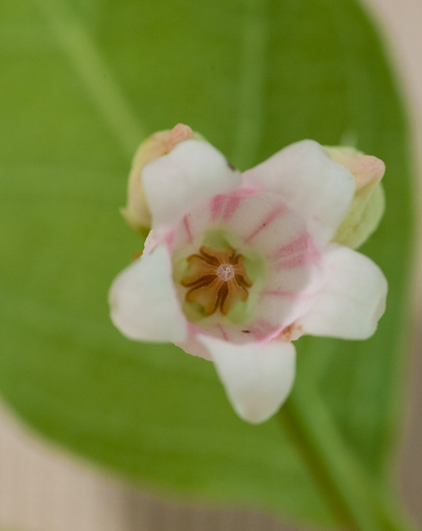 %_tempFileName20150731_6789w%