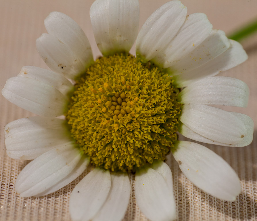 %_tempFileName20150731_6790w%