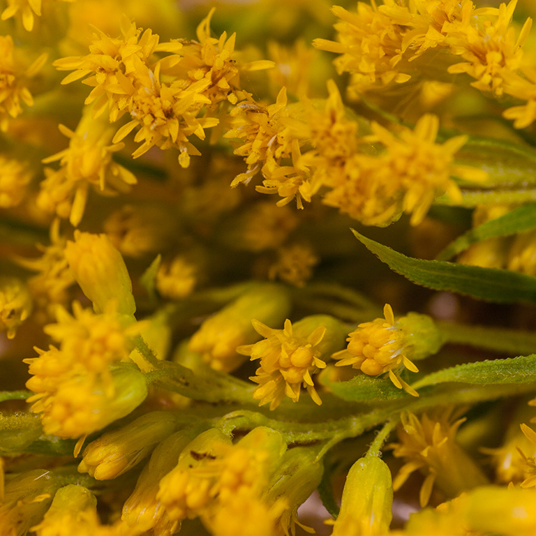 %_tempFileName20150731_6791w%