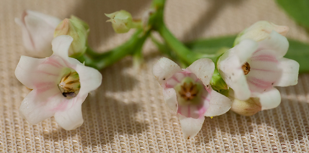 %_tempFileName20150731_6869w%