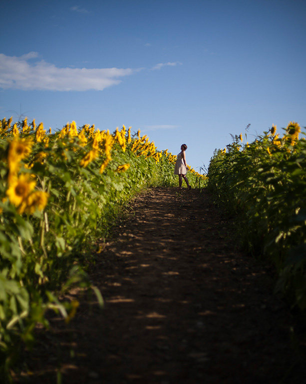 %_tempFileName20150815_7565w%