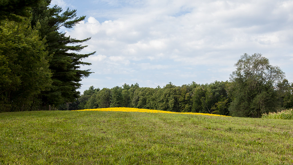 %_tempFileName20150815_7613w%