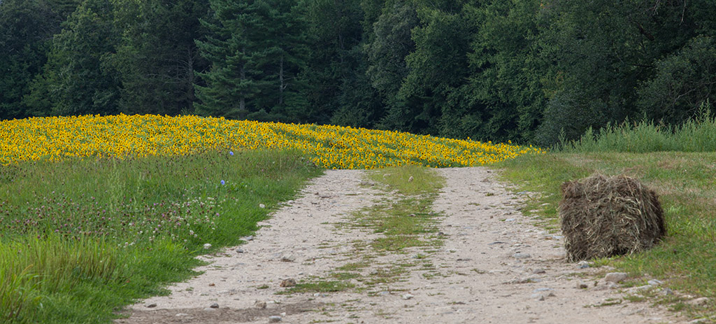 %_tempFileName20150815_7616w%