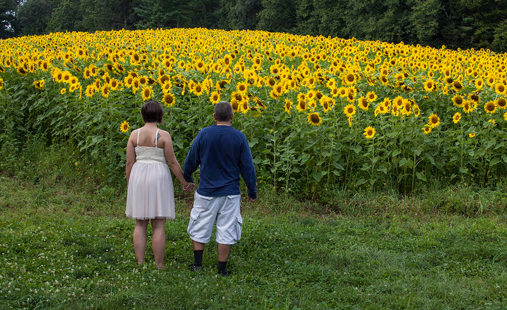 %_tempFileName20150815_7621w%