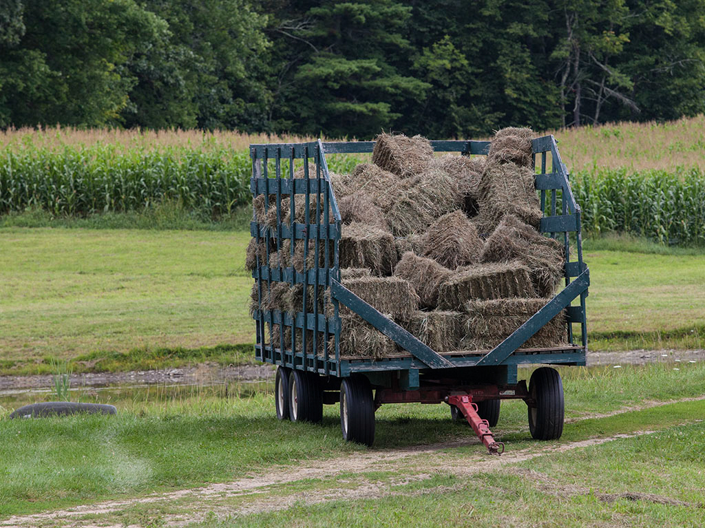 %_tempFileName20150815_7633w%