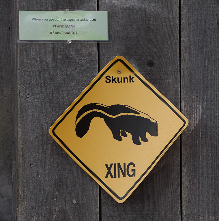 %_tempFileName20150815_7635w%