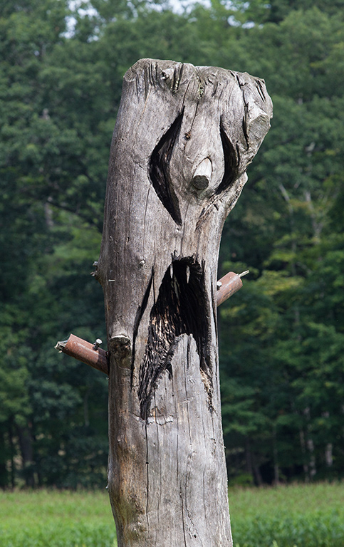 %_tempFileName20150815_7637w%