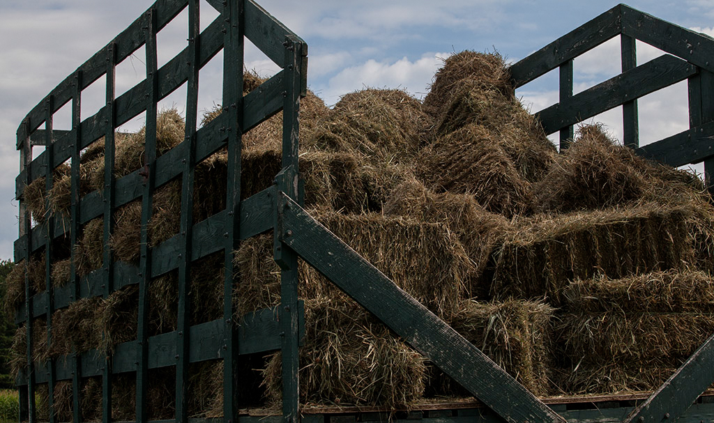 %_tempFileName20150815_7641w%