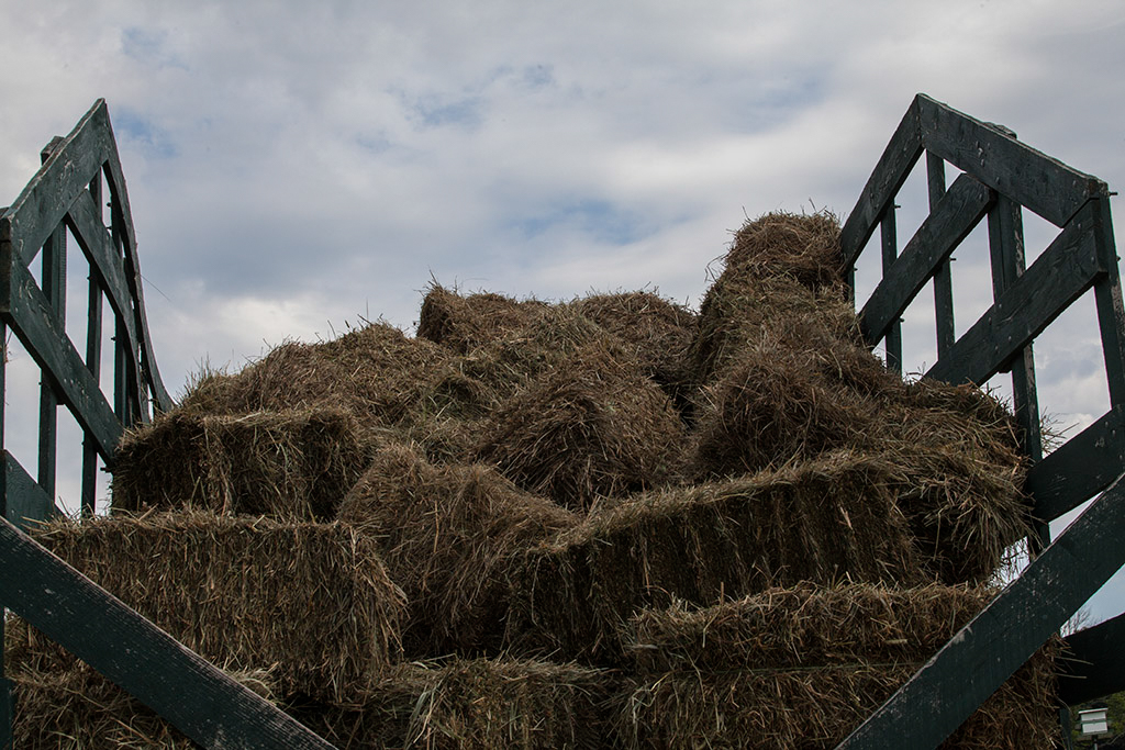 %_tempFileName20150815_7643w%