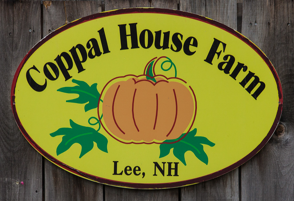 %_tempFileName20150815_7650w%