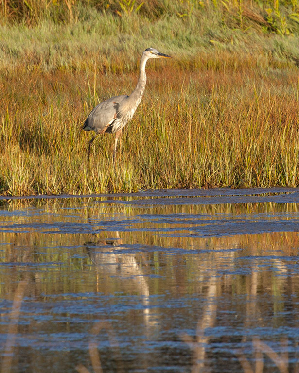 %_tempFileName20150906_7856w%