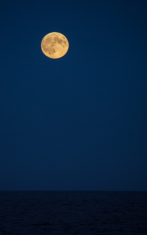 %_tempFileName20150927_8048w%