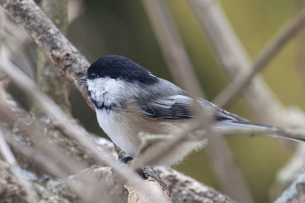 %_tempFileName20150406_1511w%