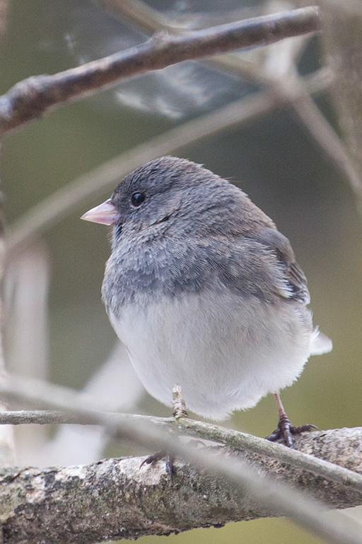 %_tempFileName20150406_1523w%