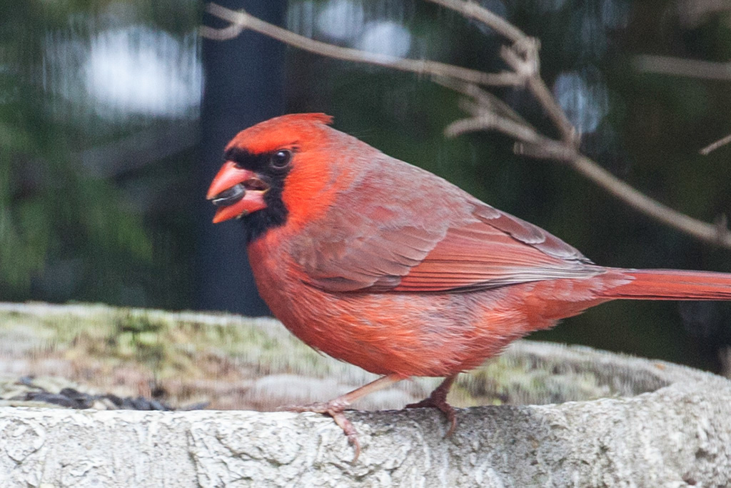 %_tempFileName20150406_1551w%