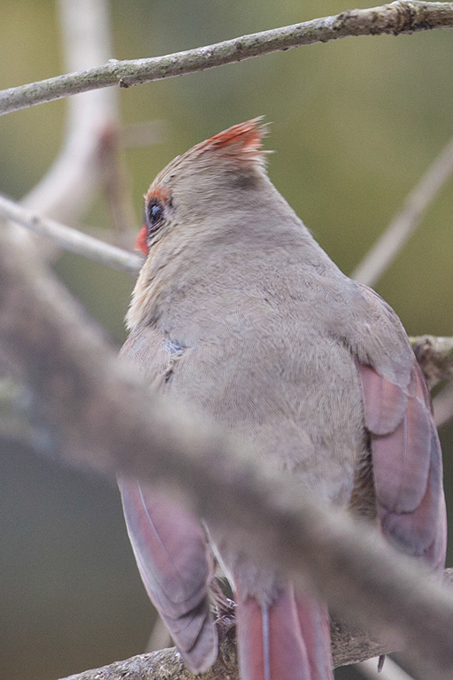 %_tempFileName20150406_1605w%