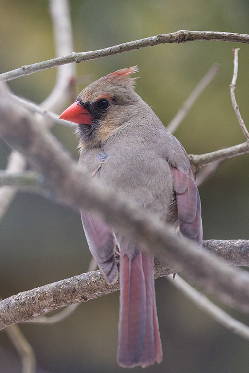 %_tempFileName20150406_1607w%