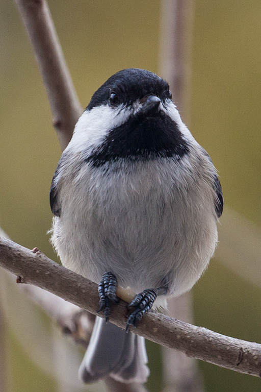 %_tempFileName20150406_1635w%