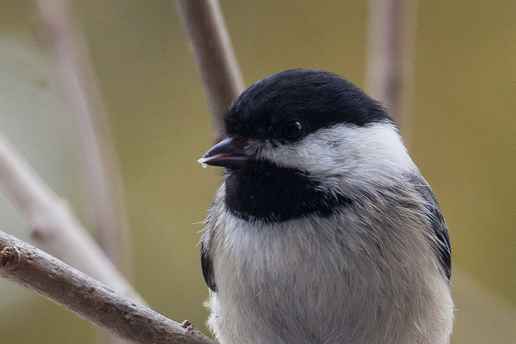 %_tempFileName20150406_1644w%