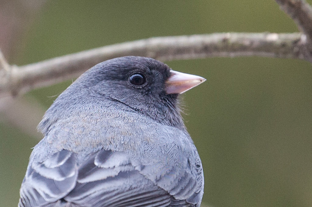 %_tempFileName20150406_1679w%