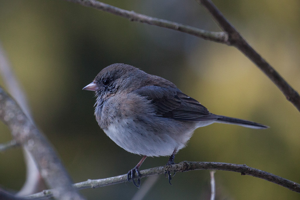 %_tempFileName20150406_1717w%