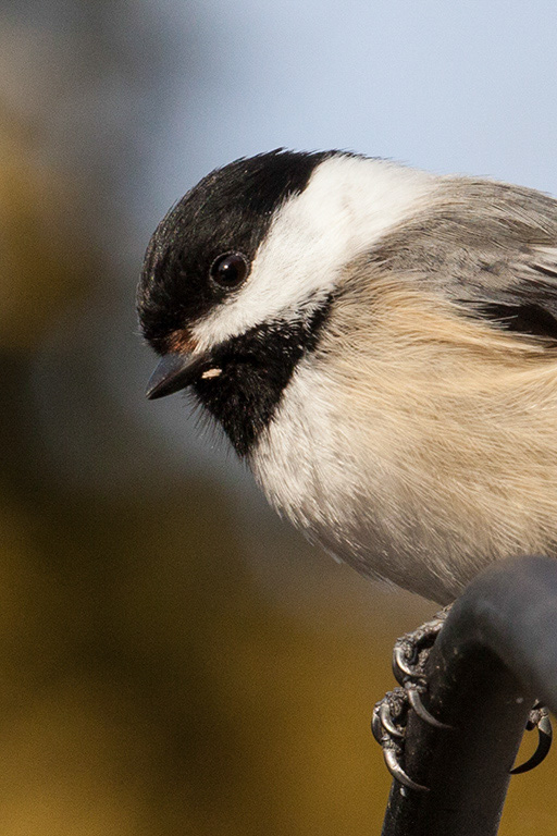 %_tempFileName20150406_1740w%