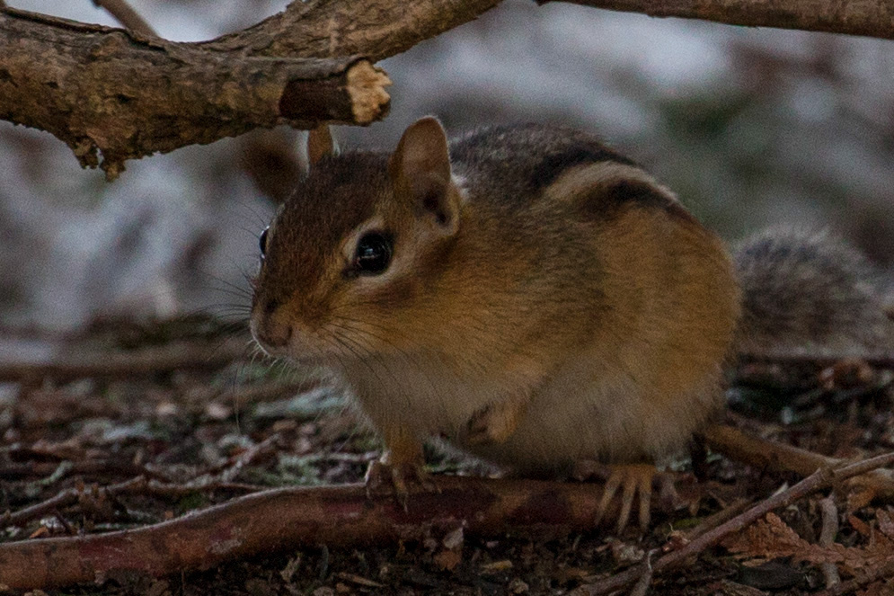 %_tempFileName20150406_1747w%