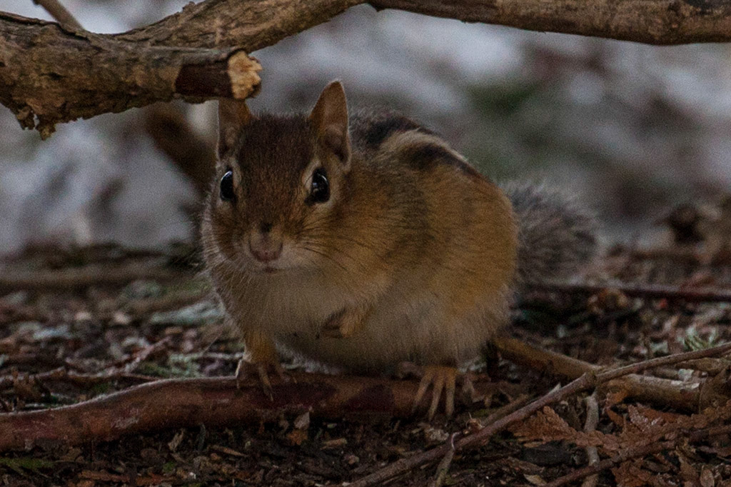 %_tempFileName20150406_1753w%