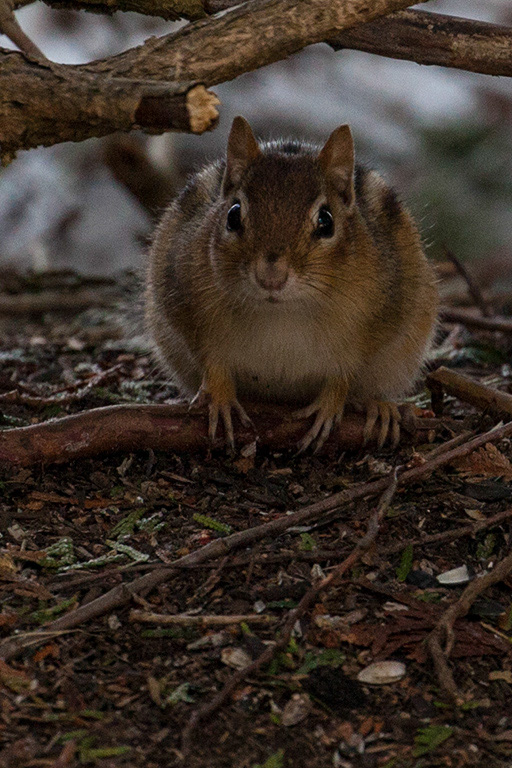 %_tempFileName20150406_1754w%