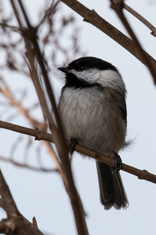 %_tempFileName20150406_1775w%