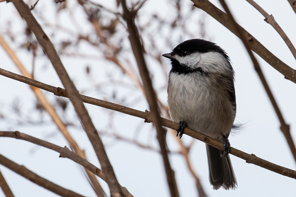 %_tempFileName20150406_1782w%