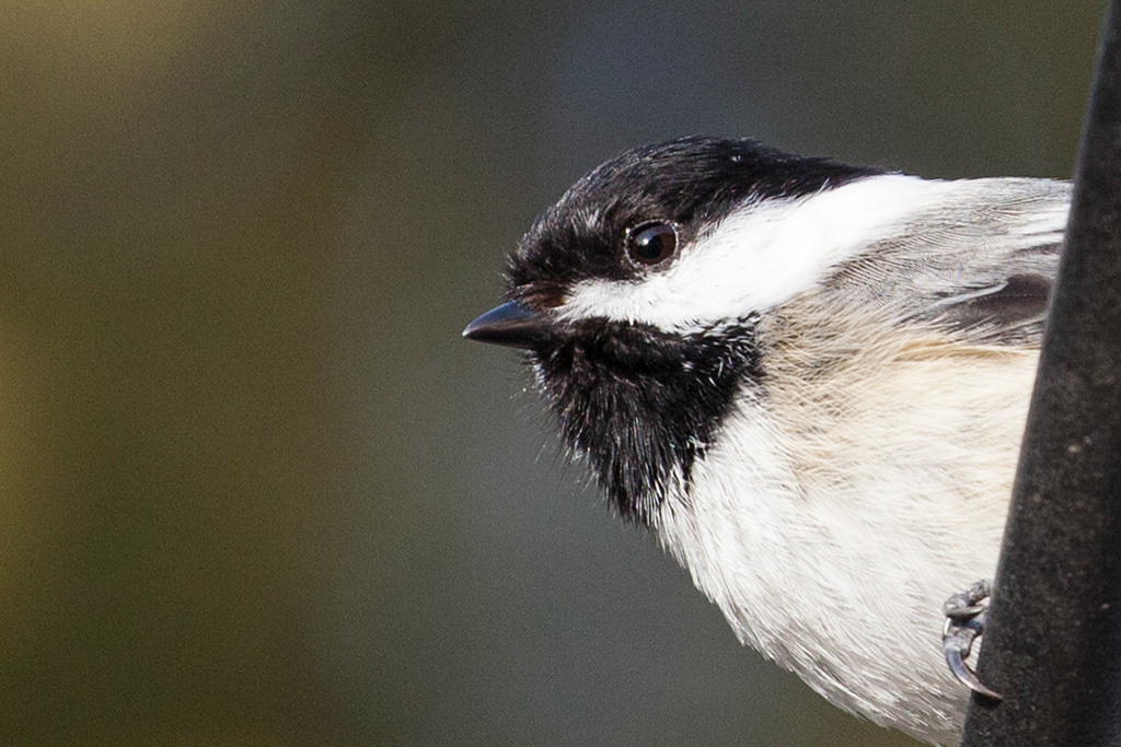 %_tempFileName20150406_1787w%