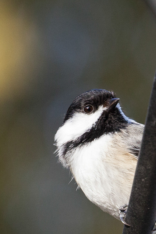 %_tempFileName20150406_1794w%