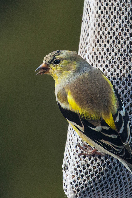 %_tempFileName20150406_1817w%