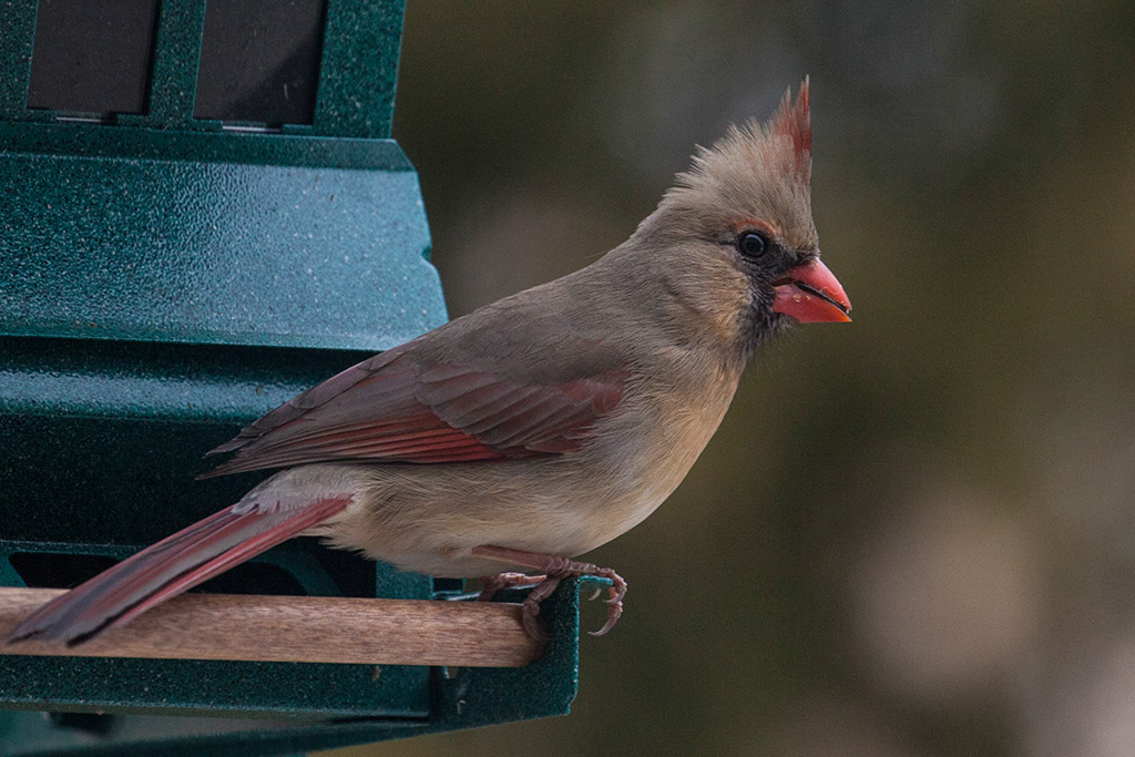 %_tempFileName20150406_1839w%