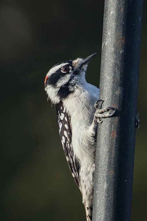 %_tempFileName20150406_1905w%