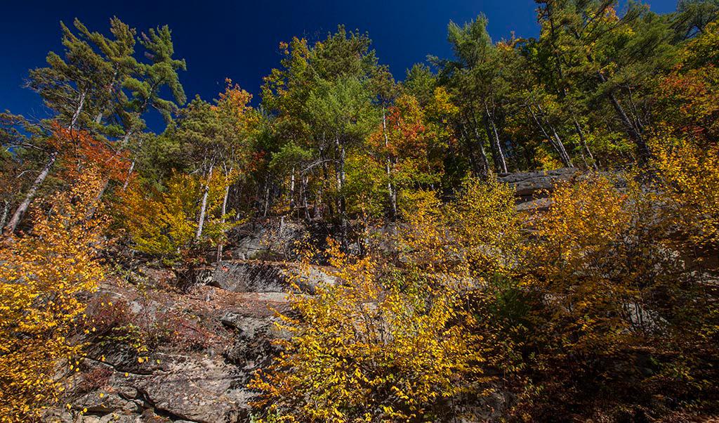 %_tempFileName20151015_8281w%