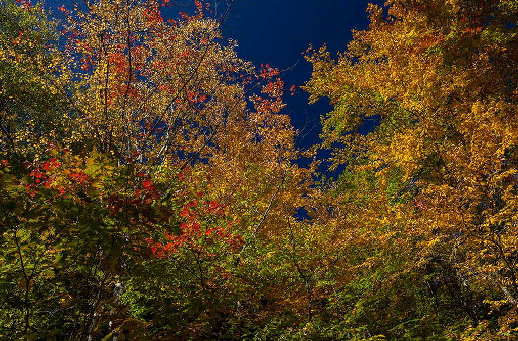 %_tempFileName20151015_8353w%