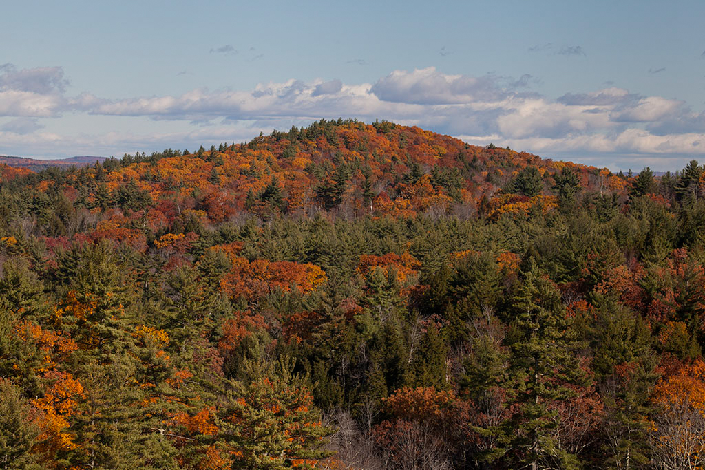 %_tempFileName20151030_8443w%