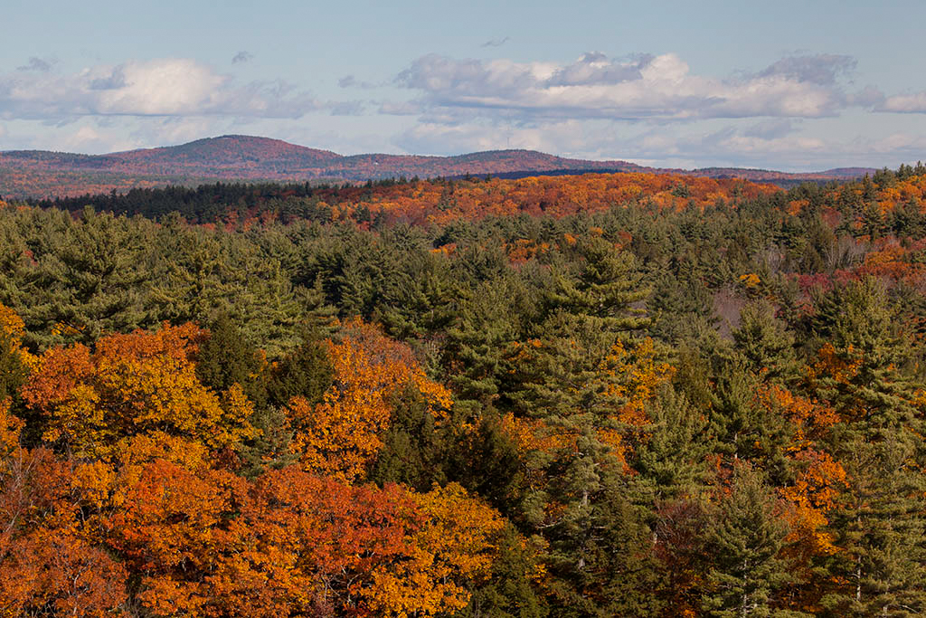 %_tempFileName20151030_8444w%