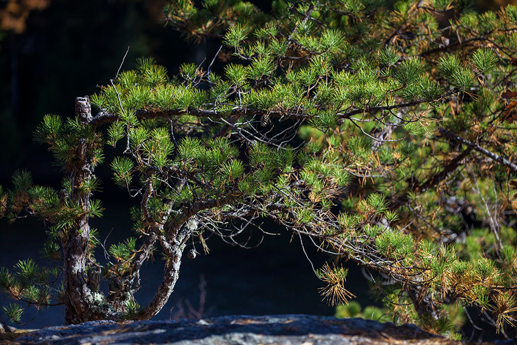 %_tempFileName20151030_8459w%