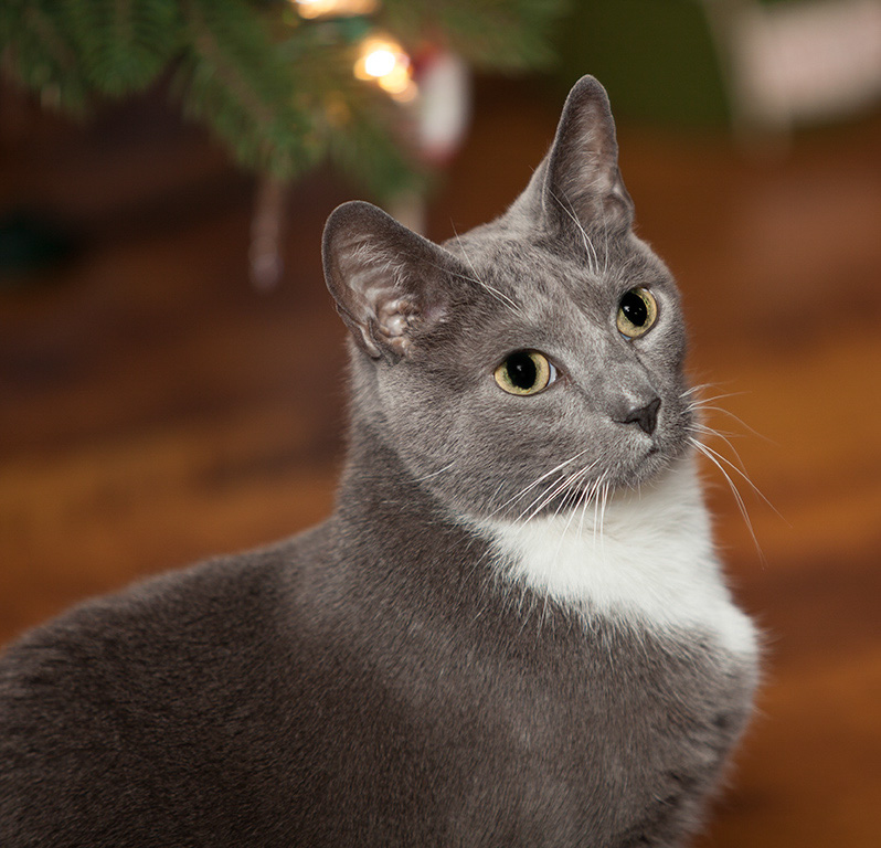 %_tempFileName20151225_8808w%